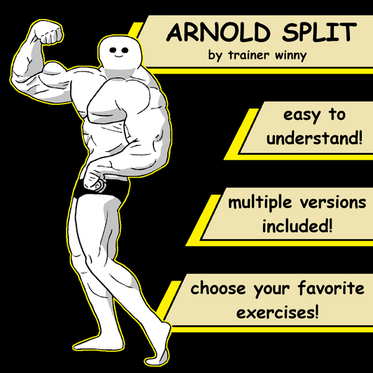 ARNOLD SPLIT Training Plan